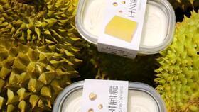 韩国ins网红爆料视频,Ins爆火视频幕后故事大揭秘！