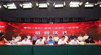 衡阳最新爆料新闻报道,揭秘背后惊人真相！